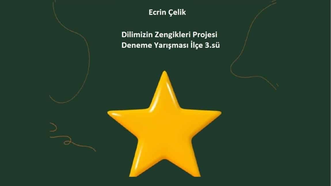 Dilimizin Zenginlikleri Deneme Yarışması